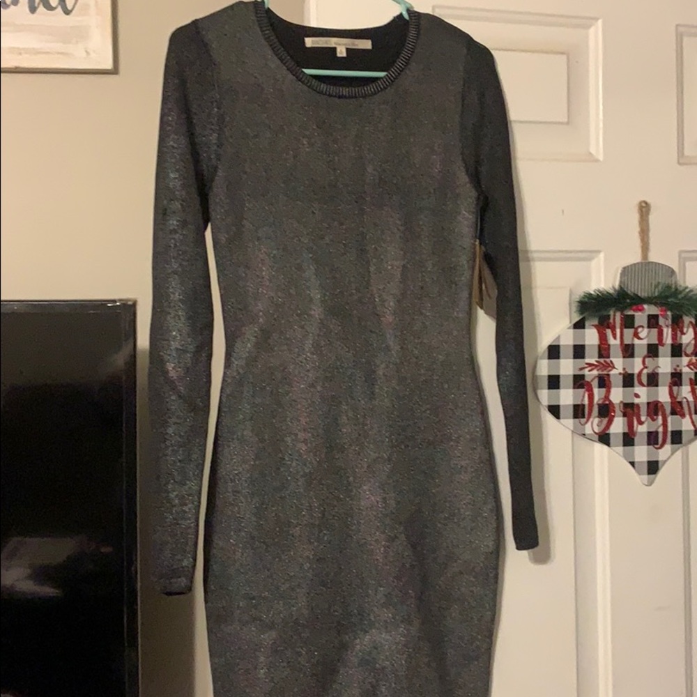 NWT Rachel Roy fitted dress